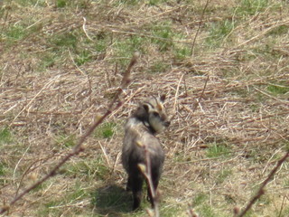 IMG_0284.JPG