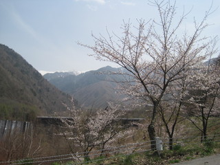 IMG_0376.JPG