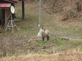 DSCN4787.JPG