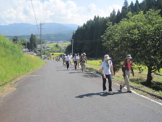 IMG_4313.JPG