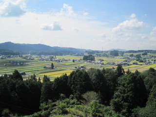 IMG_4326.JPG