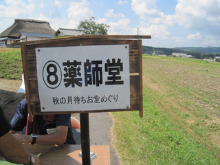 IMG_4338.JPG