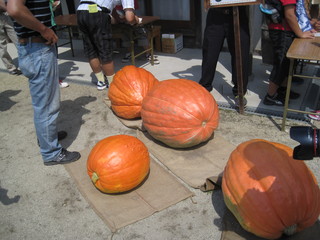 IMG_4343.JPG