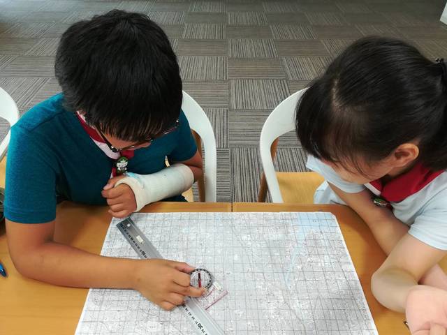 S_8196531174853.jpg