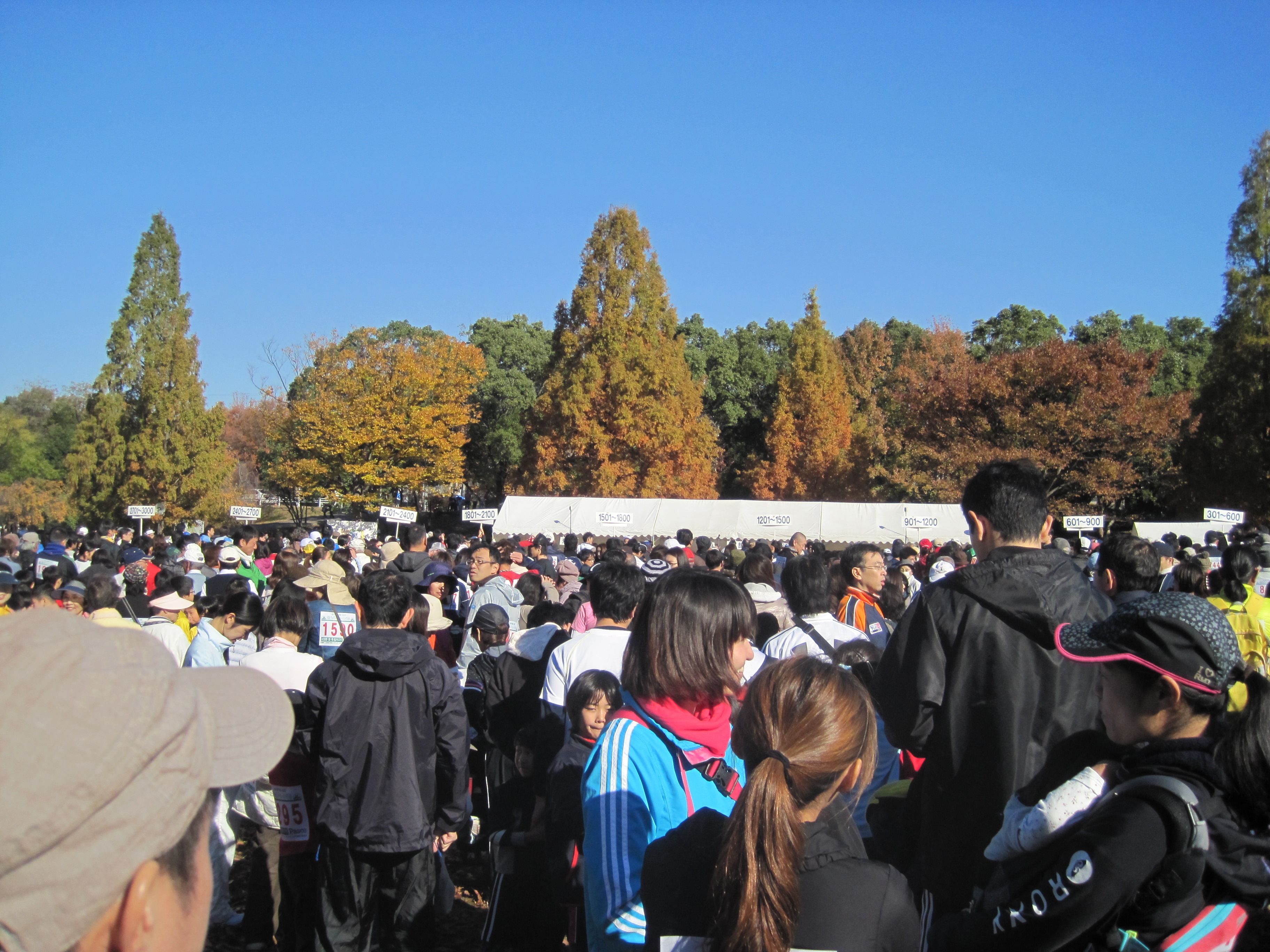 IMG_5667.JPG