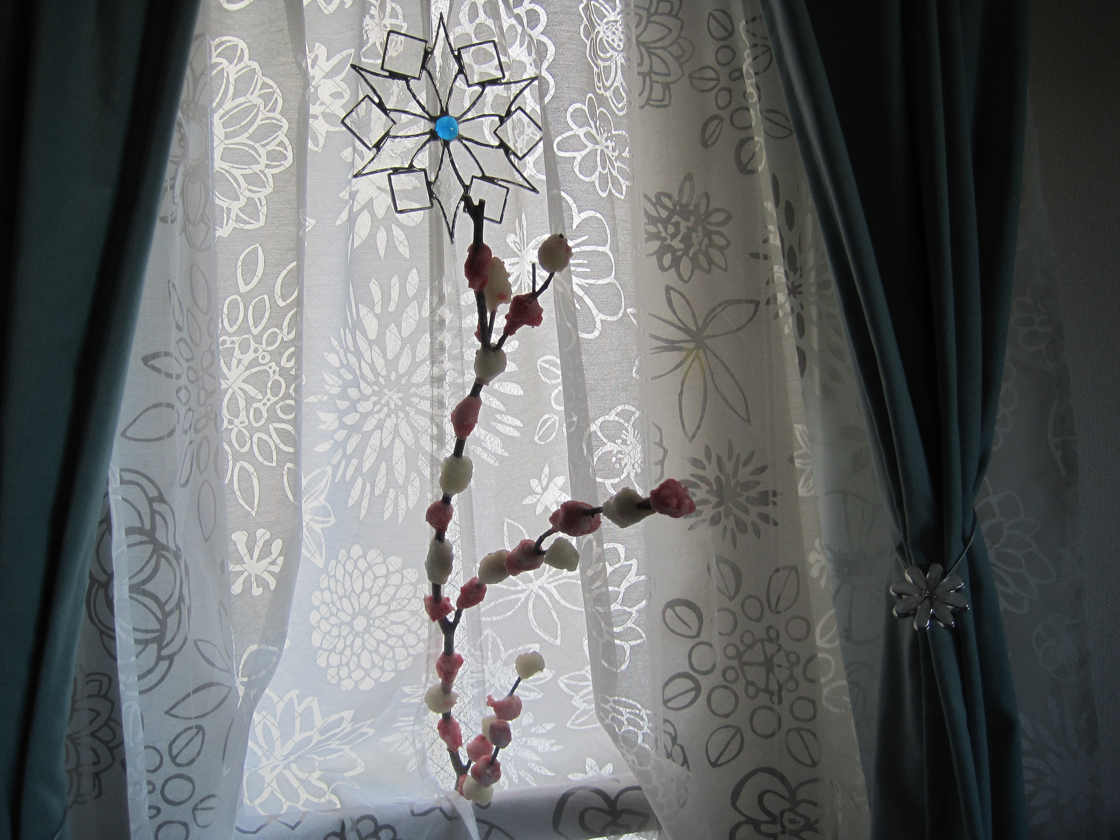 IMG_5779.JPG