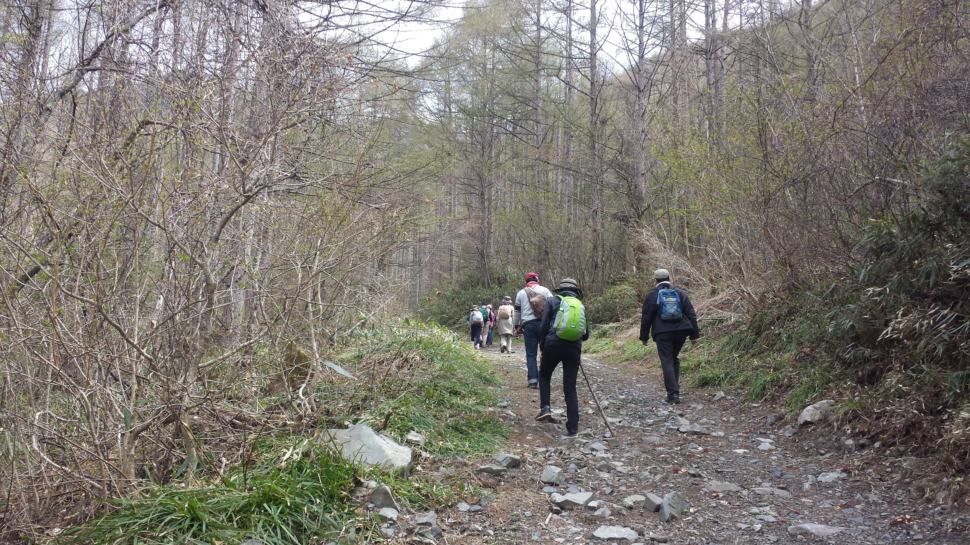 20140504_135208.jpg