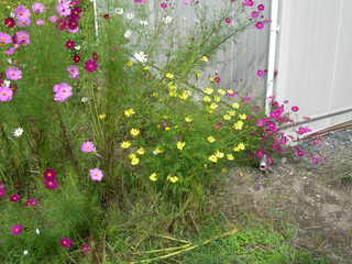 DSCN1055.JPG