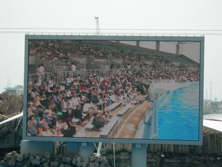 DSCN1203.JPG