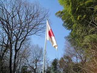 IMG_0242.JPG