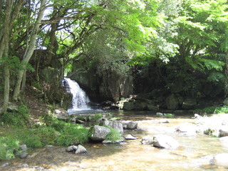 IMG_1260.JPG
