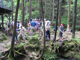 IMG_1264.JPG