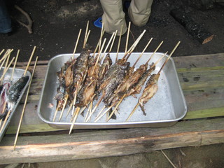 IMG_1277.JPG