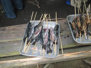 IMG_1278.JPG
