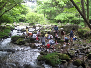 IMG_1289.JPG
