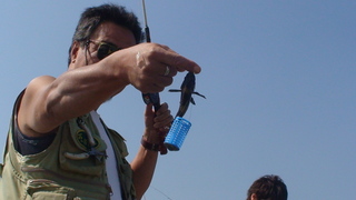 DSC01077.JPG