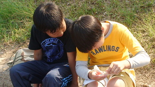 DSC01168.JPG