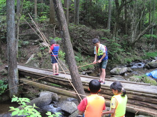 IMG_3372.JPG