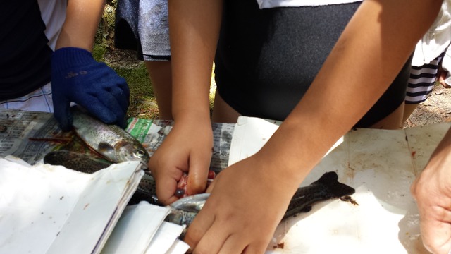 20150531_110344.jpg
