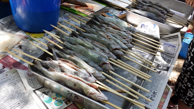 20150531_110510.jpg