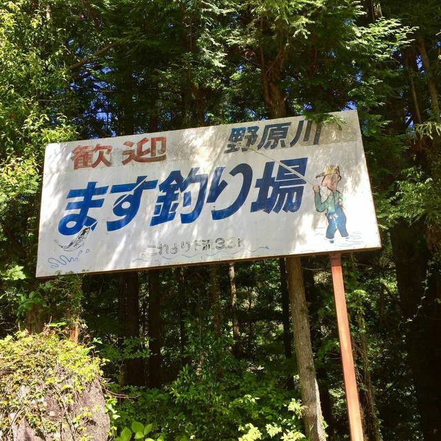 S_6188385139256.jpg