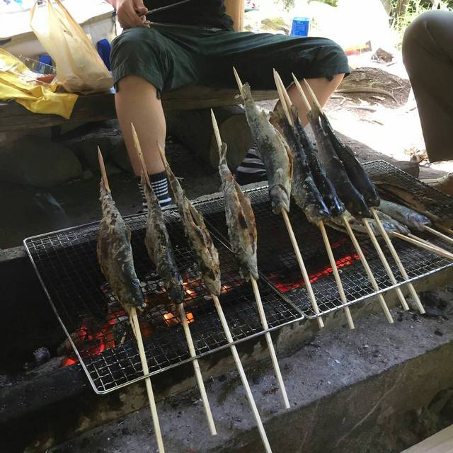 S_6188682360487.jpg