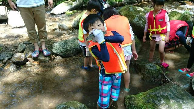 S_6188704282648.jpg
