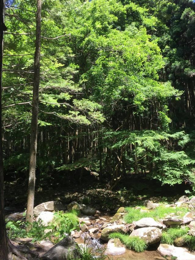 S_6191445745143.jpg