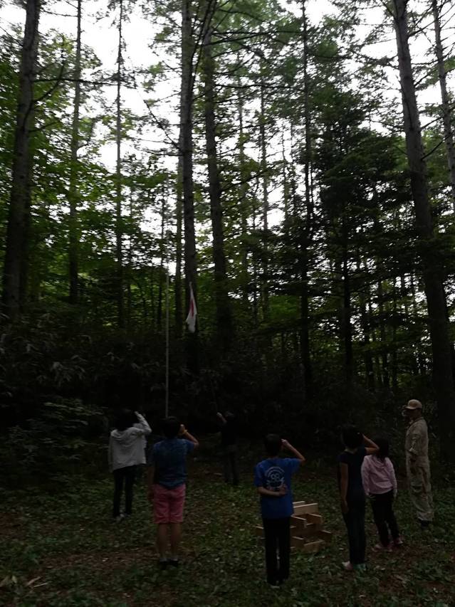 S_6403802715033.jpg