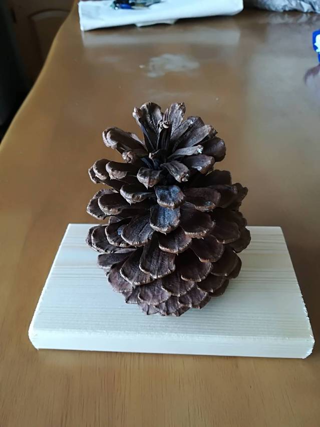 S_7083705127657.jpg