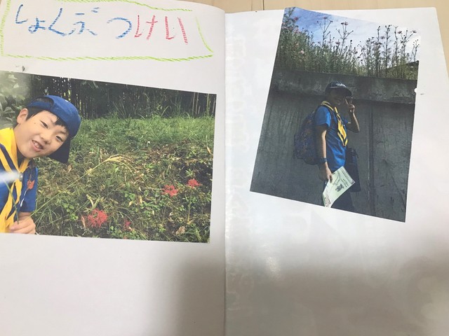 20181111 平和公園とナゴヤドーム_181112_0006.jpg