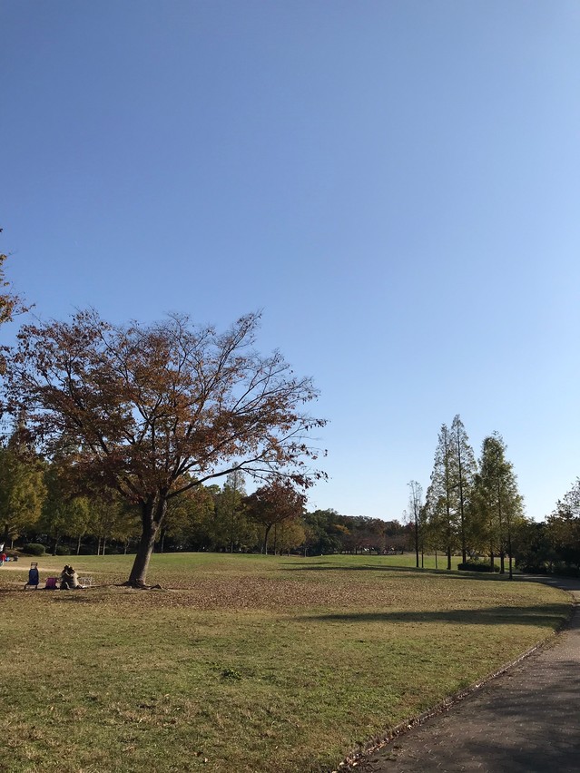 20181111 平和公園とナゴヤドーム_181112_0010.jpg