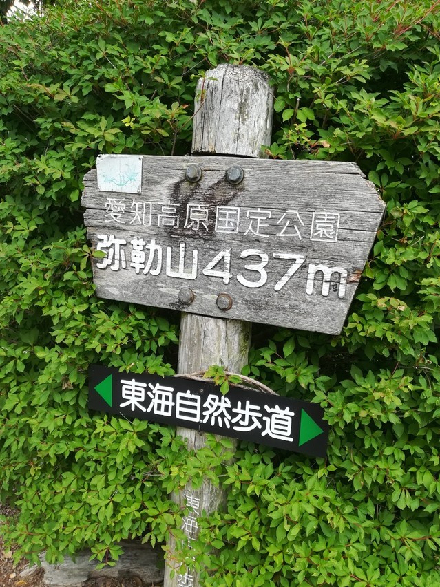 201962弥勒山登山_190603_0027.jpg